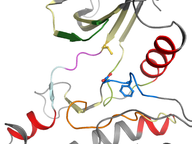 The orthosteric binding pocket