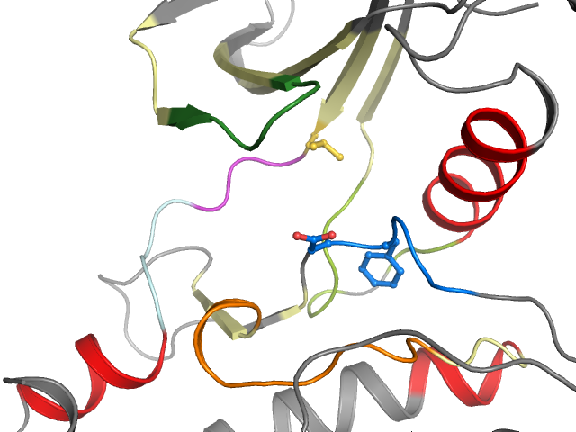 The orthosteric binding pocket