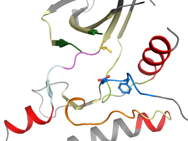 The orthosteric binding pocket