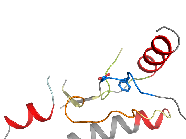 The orthosteric binding pocket