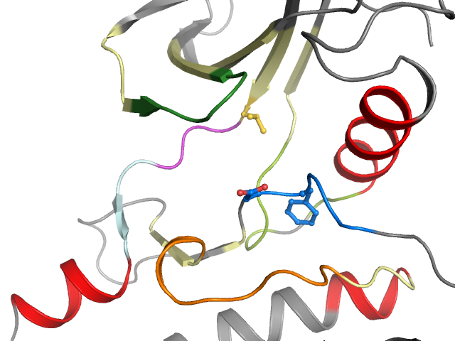 The orthosteric binding pocket