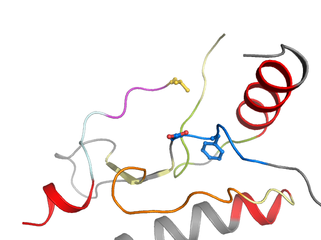 The orthosteric binding pocket