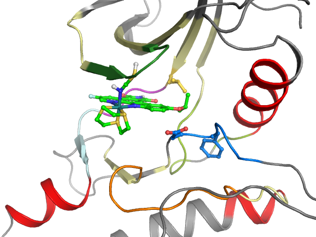 The orthosteric binding pocket