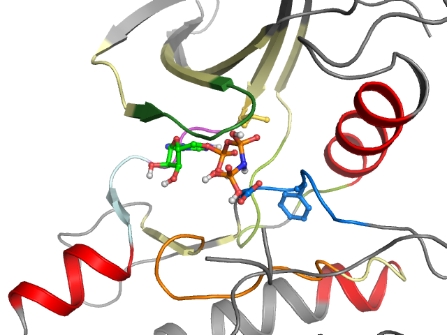 The orthosteric binding pocket