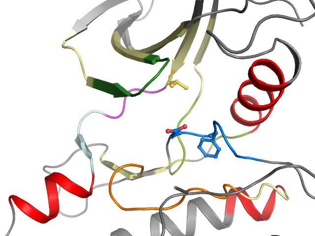The orthosteric binding pocket