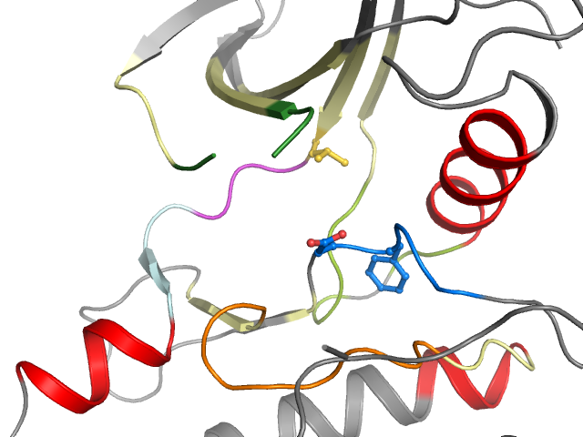 The orthosteric binding pocket