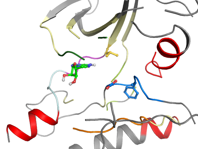 The orthosteric binding pocket