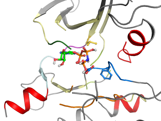 The orthosteric binding pocket
