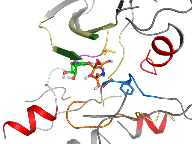 The orthosteric binding pocket