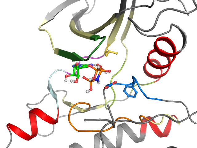 The orthosteric binding pocket