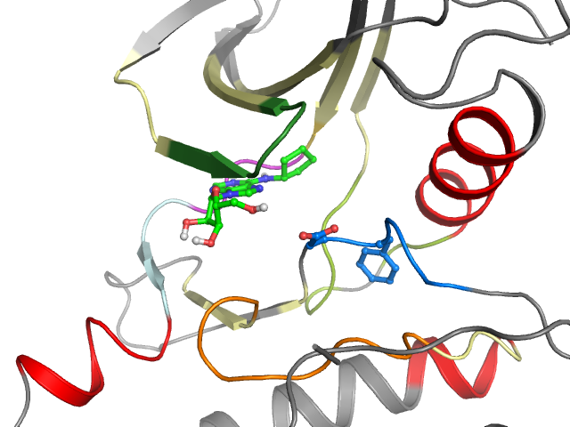 The orthosteric binding pocket