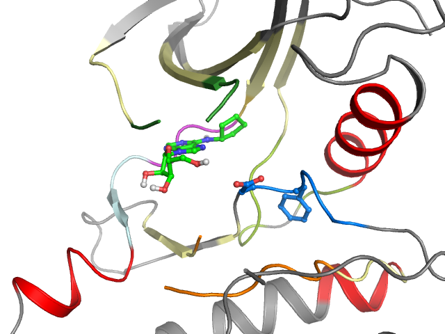 The orthosteric binding pocket