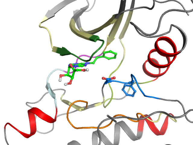 The orthosteric binding pocket
