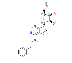 2D structure of the orthosteric ligand