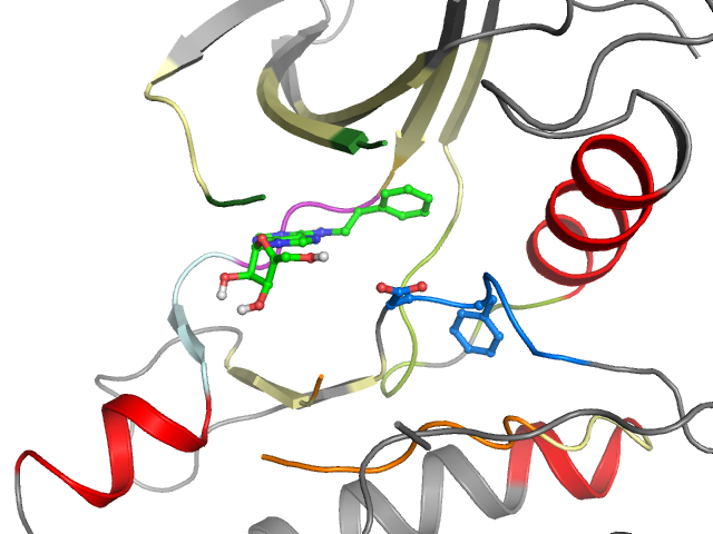The orthosteric binding pocket