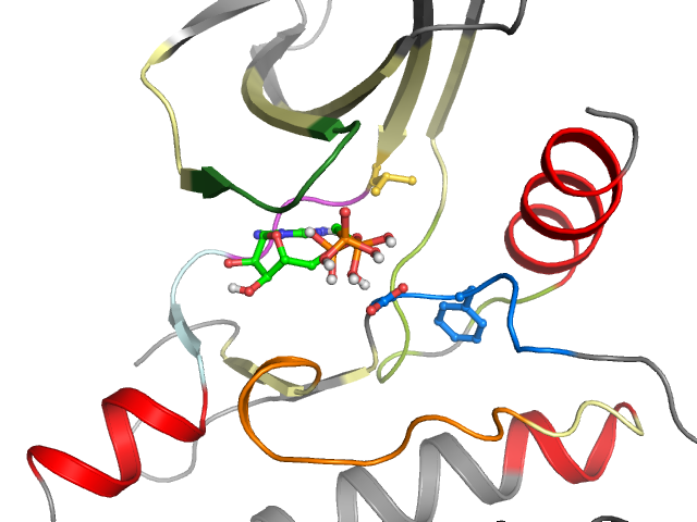 The orthosteric binding pocket