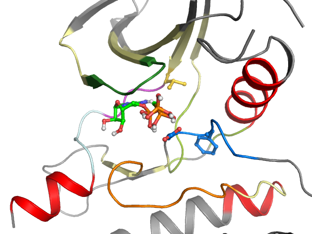 The orthosteric binding pocket