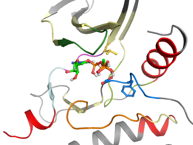 The orthosteric binding pocket