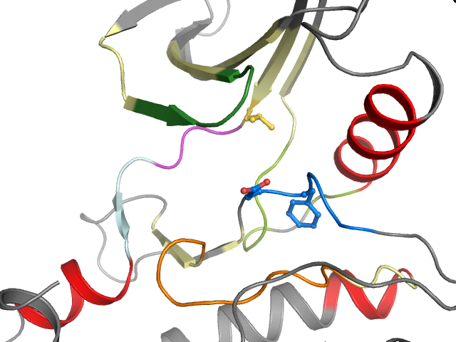 The orthosteric binding pocket