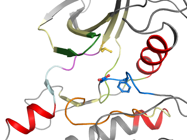 The orthosteric binding pocket
