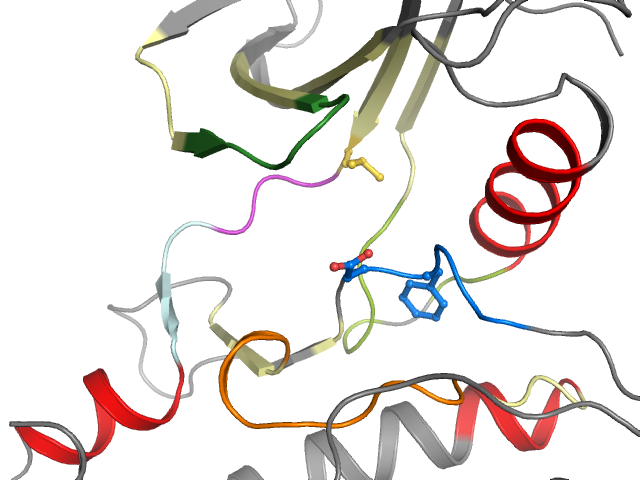 The orthosteric binding pocket