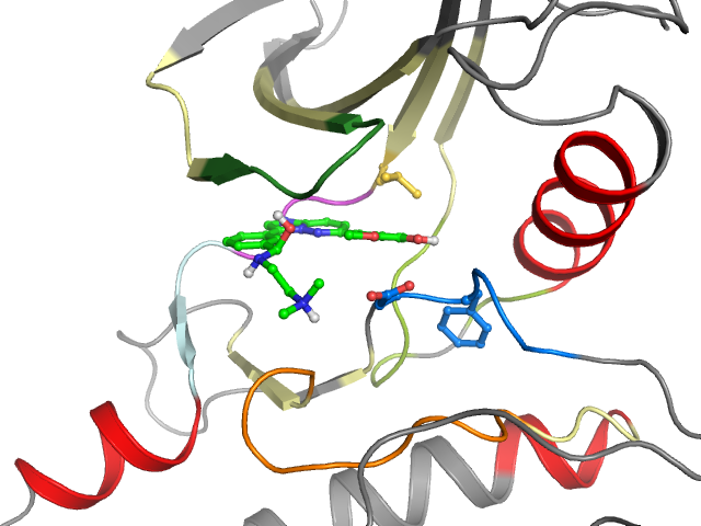 The orthosteric binding pocket