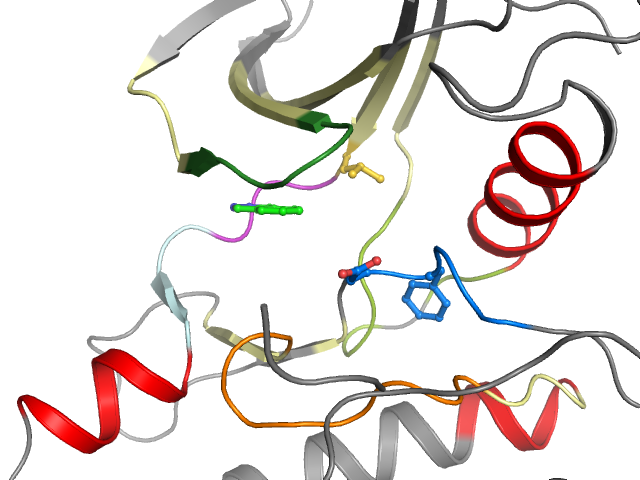 The orthosteric binding pocket