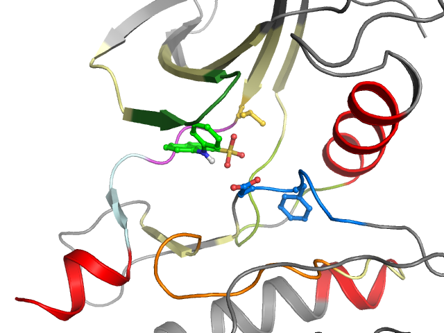 The orthosteric binding pocket