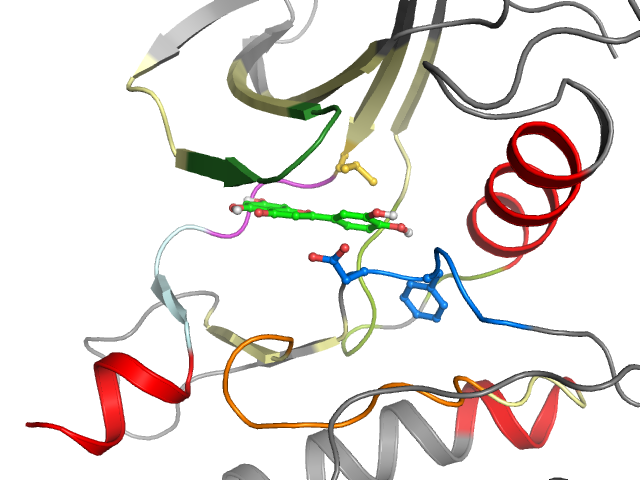 The orthosteric binding pocket