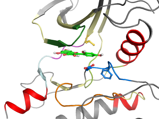 The orthosteric binding pocket