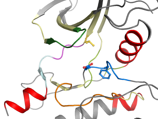 The orthosteric binding pocket