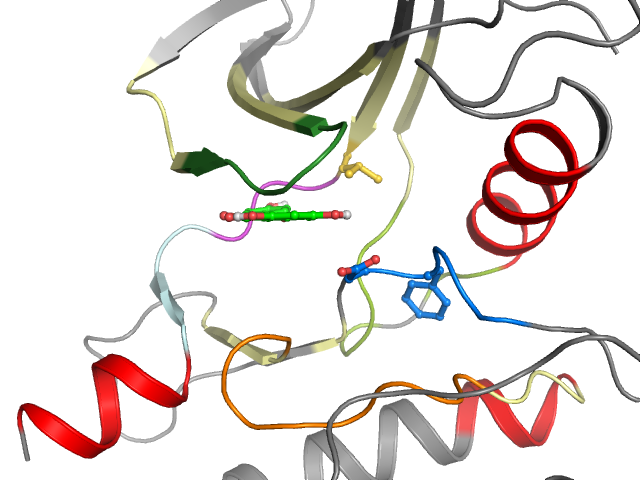 The orthosteric binding pocket