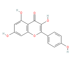 2D structure of the orthosteric ligand