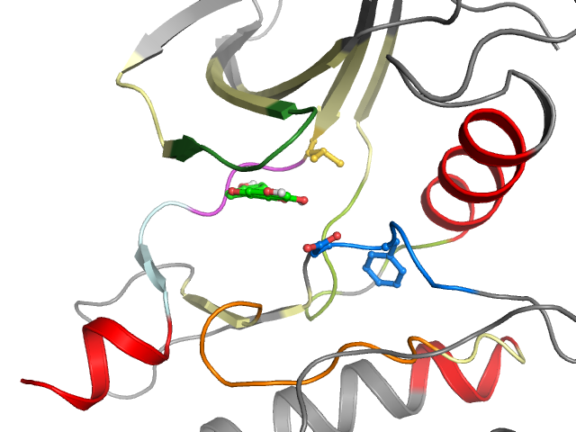 The orthosteric binding pocket