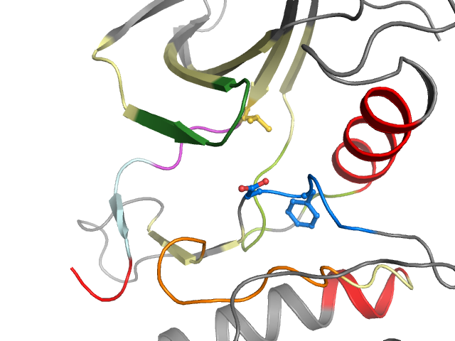 The orthosteric binding pocket
