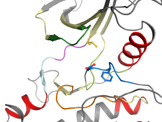 The orthosteric binding pocket