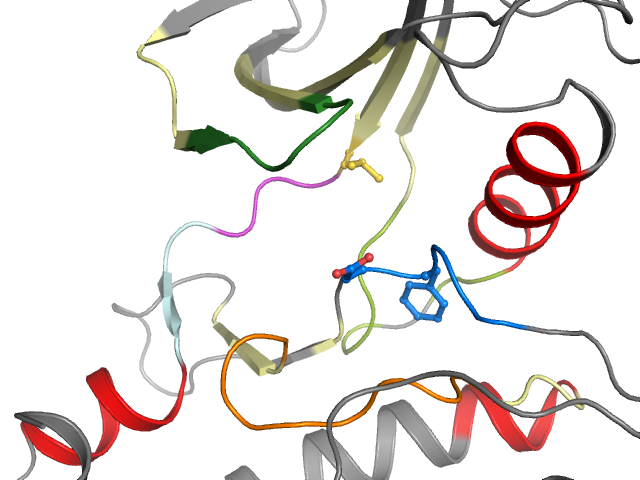 The orthosteric binding pocket