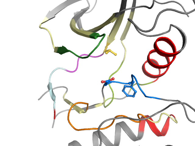 The orthosteric binding pocket
