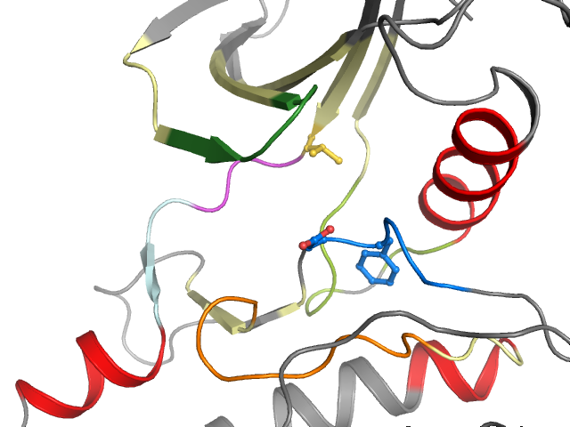The orthosteric binding pocket