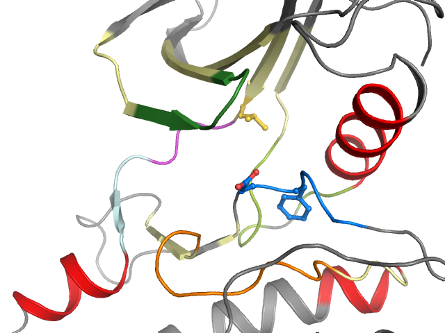 The orthosteric binding pocket