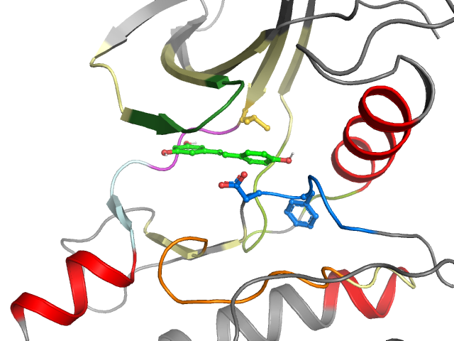 The orthosteric binding pocket