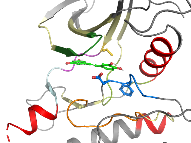 The orthosteric binding pocket