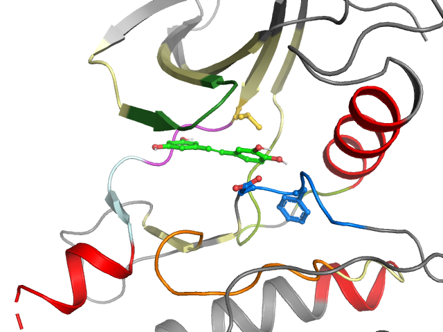 The orthosteric binding pocket