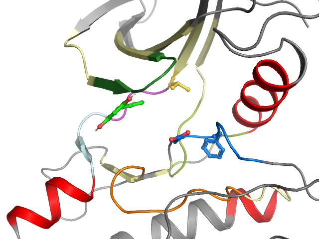 The orthosteric binding pocket