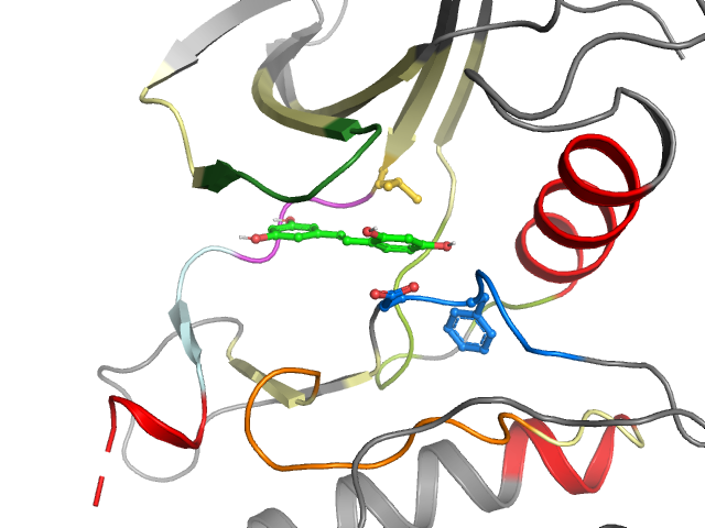 The orthosteric binding pocket