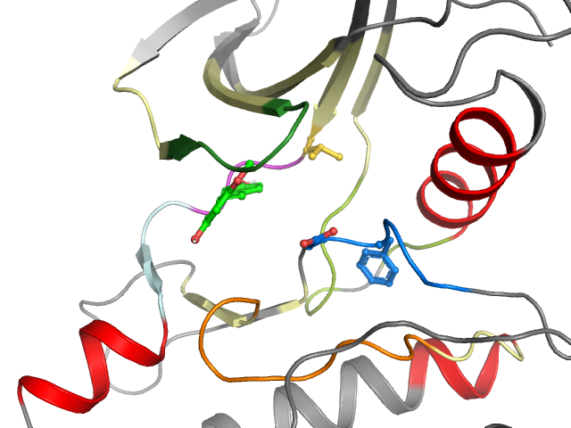 The orthosteric binding pocket