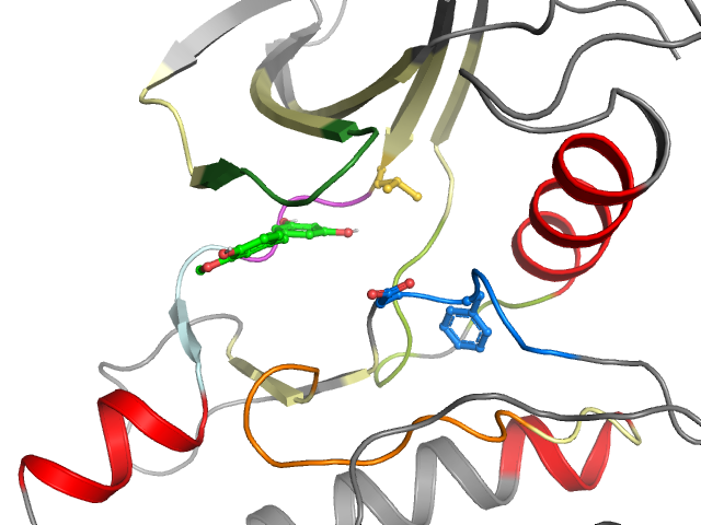 The orthosteric binding pocket