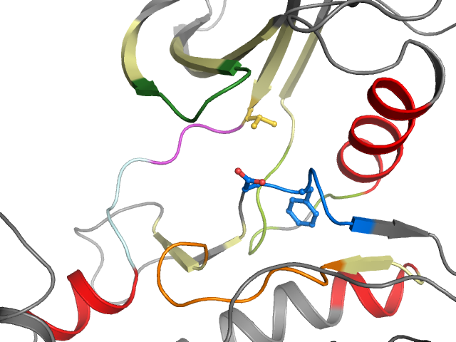 The orthosteric binding pocket