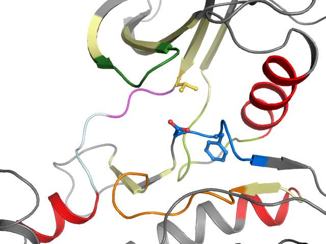 The orthosteric binding pocket