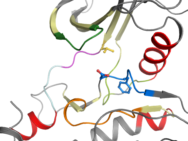 The orthosteric binding pocket